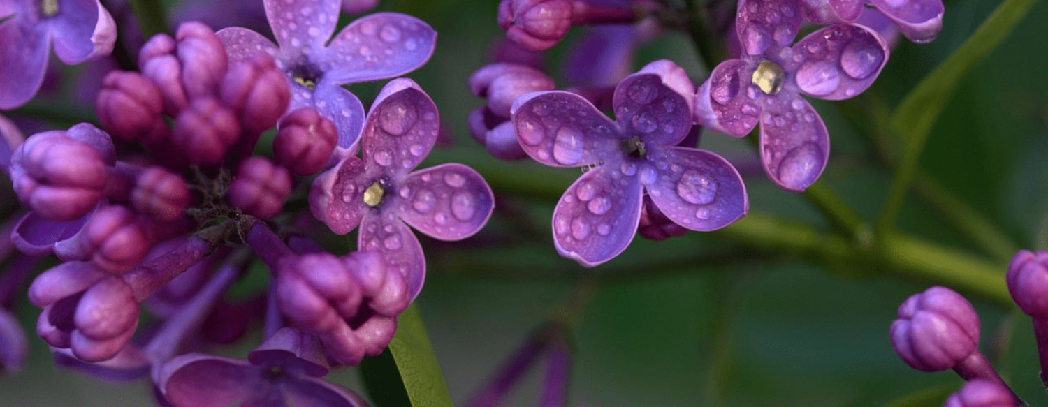 График работы на майские праздники