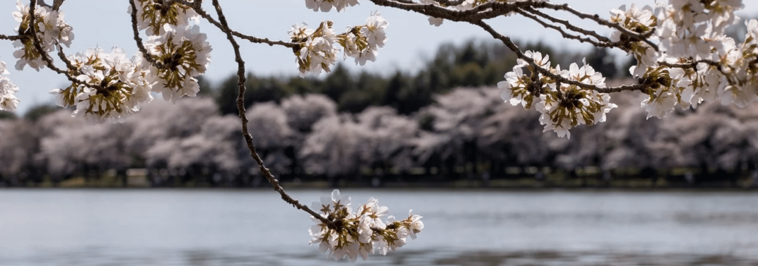 Что случилось в закупках в первом квартале 2022