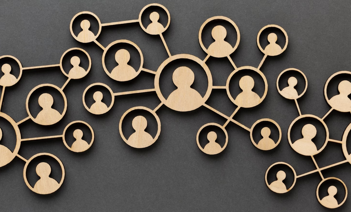 Специализированная организация: что нужно знать тем, кто привлекает ее впервые 